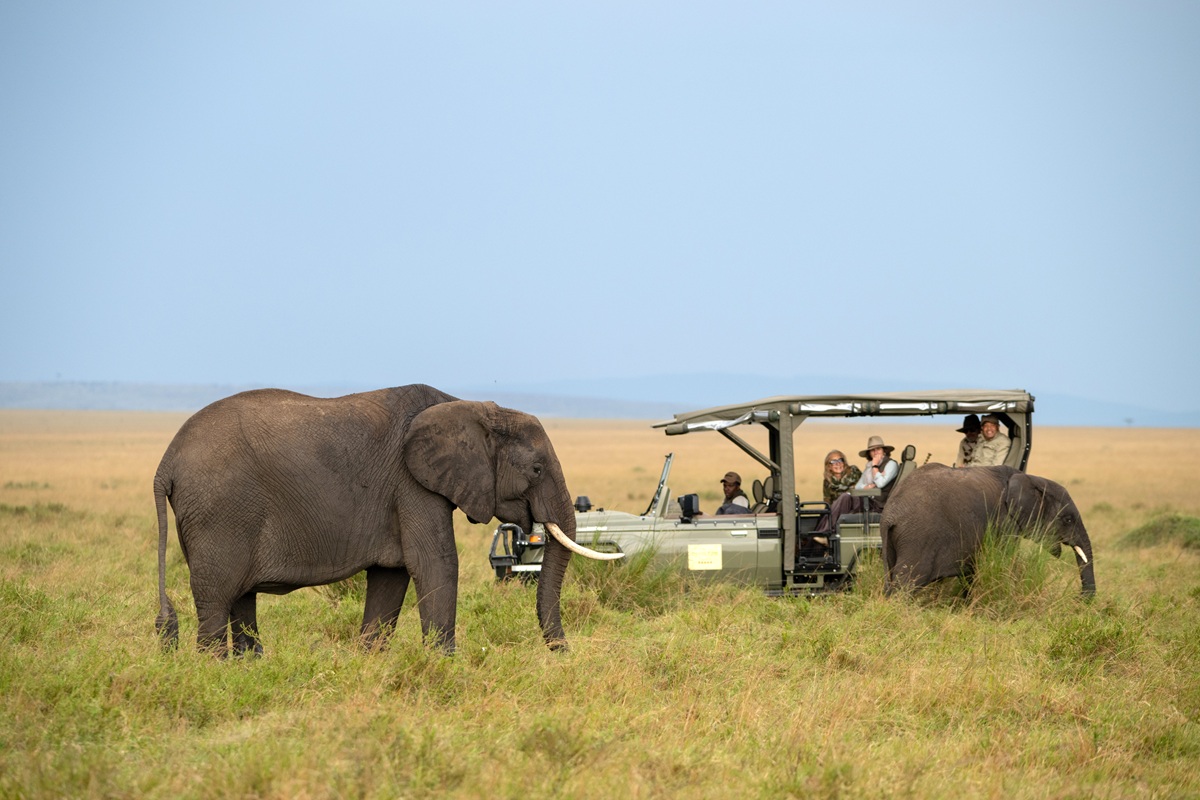 Elephant_Paradise Plains