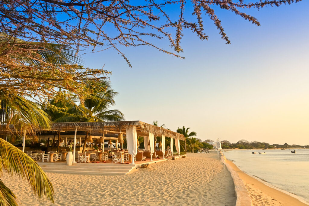 Escape to the The Majlis's Serene Beauty in Lamu