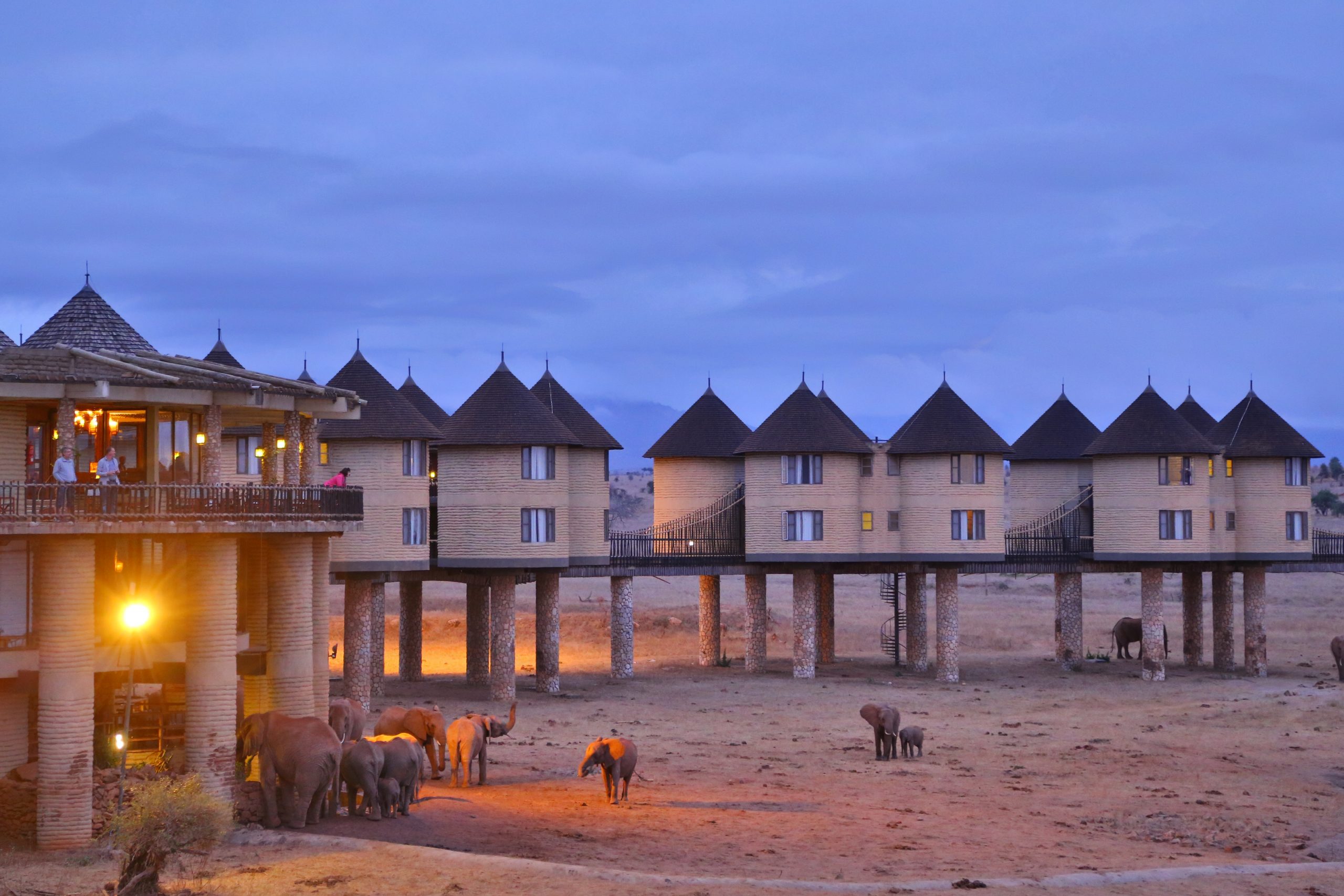 Diani Beach Safari to Saltlick Lodge: An Iconic Adventure