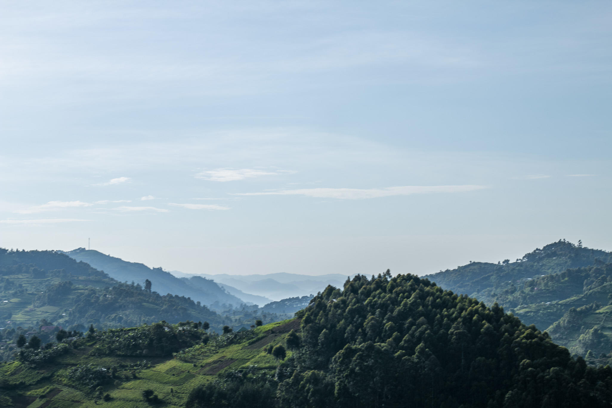 Bwindi Impenetrable Forest