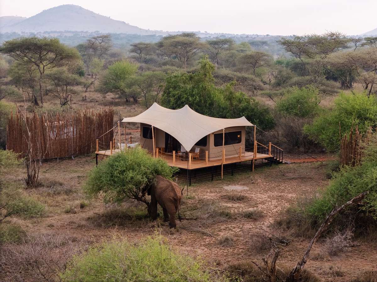 Luxury accommodation at Tabi Serengeti Luxury Bush Camp in Tanzania - Northern Circuit
