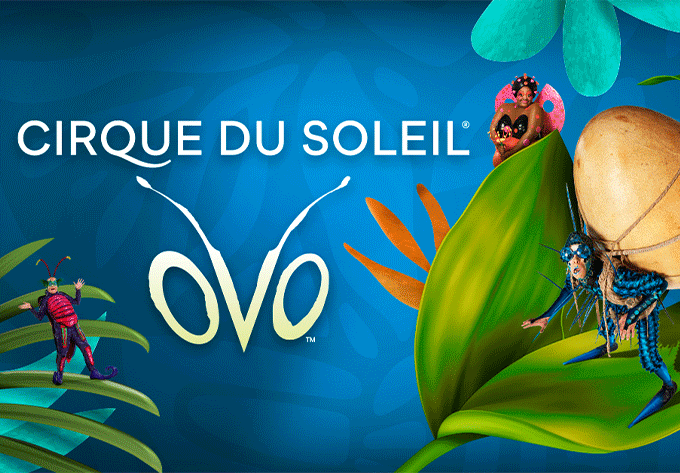 Cirque Du Soleil: OVO - 27 Décembre 2024 - Centre Bell | Evenko