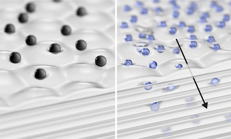 2x smaller than leading anti-aging peptides