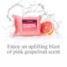 NA_US_NTG_OilFree_PinkGrapefruitWipes_2x25ct_ATF4.webp NA_US_NTG_OilFree_PinkGrapefruitWipes_2x25ct_ATF4.webp