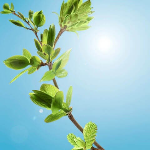 001819_02_neutrogena_hydro_boost_website_inhaltsstoffe_trehalose_2000x2000px_0