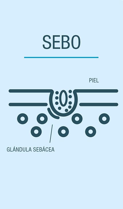 sebo