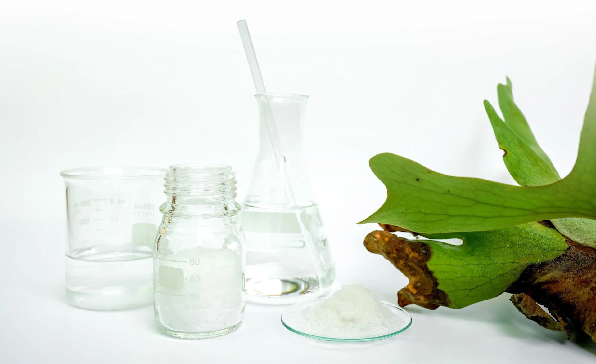 A cluster of glass containers with clear liquids next to a green plant.