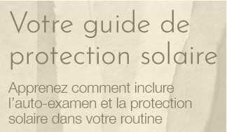brochure_tout_fr