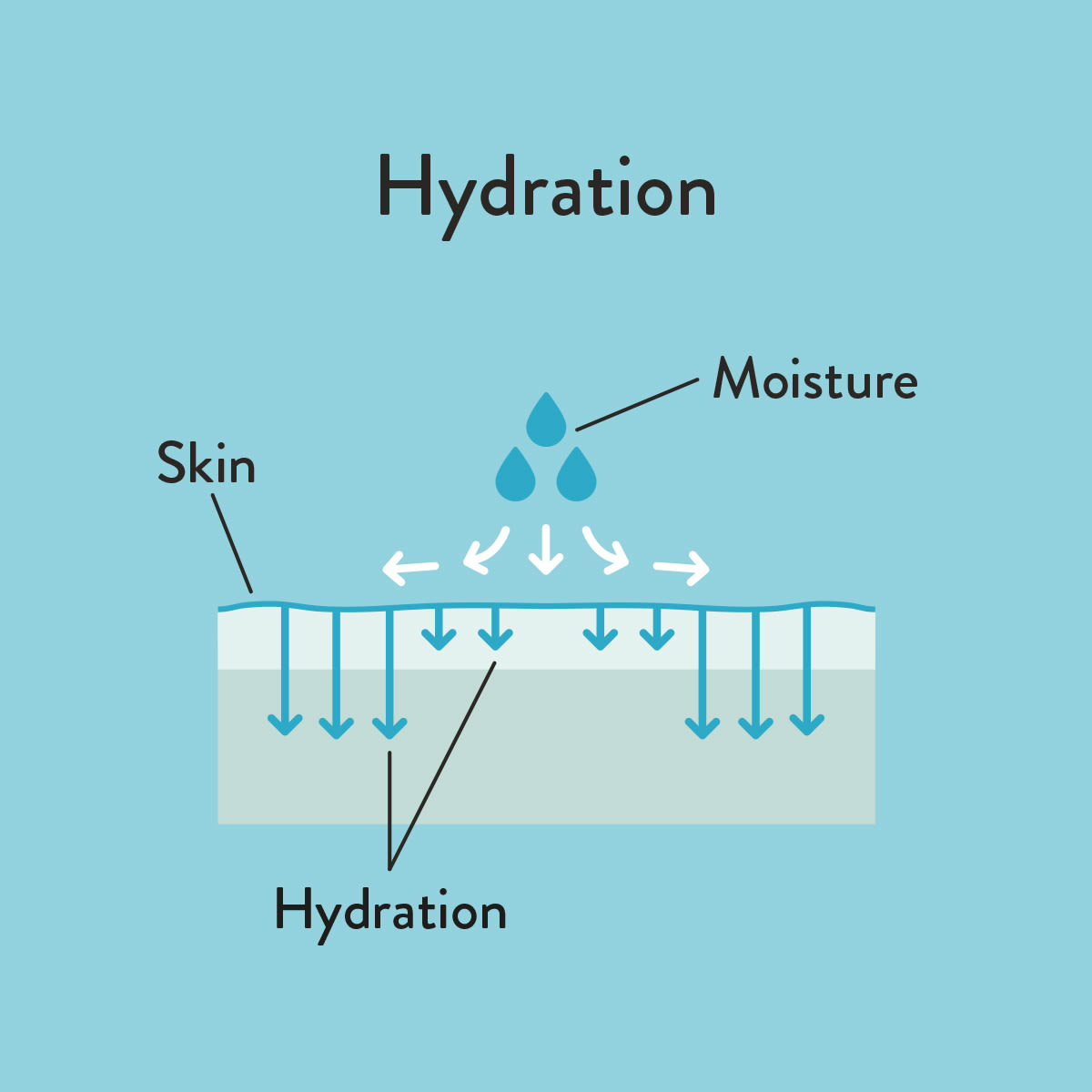 Hydration