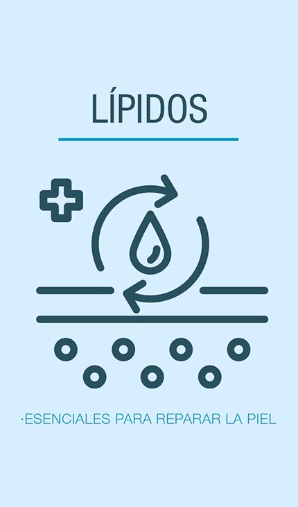 lipidos