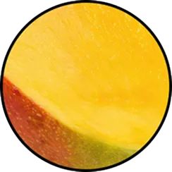 Mango Butter Texture and Consistency
