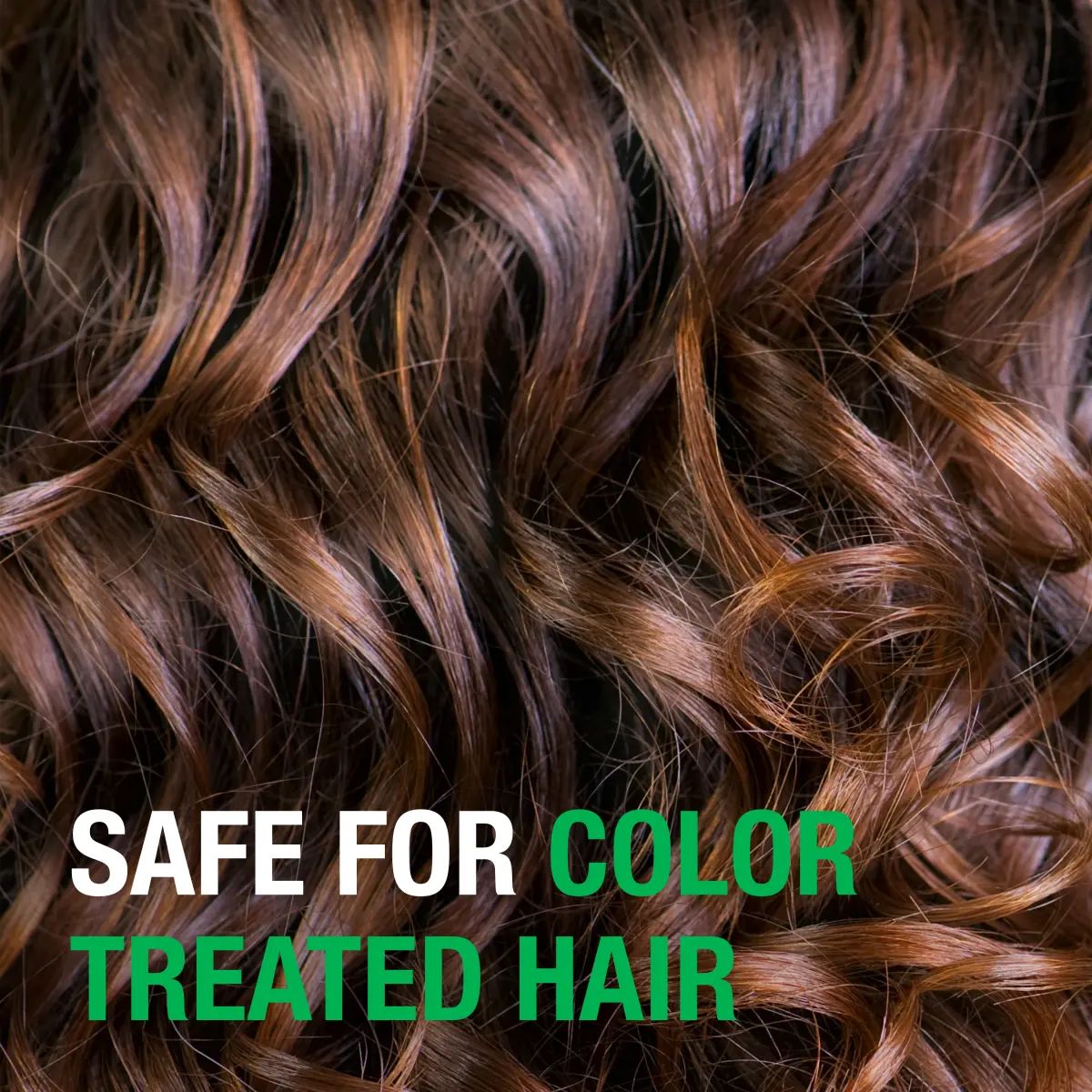052800676374_US_eCarousel_Asset_60_CR060120_NTG_Teatree_Shampoo_12z_Model.webp