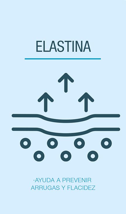elastina