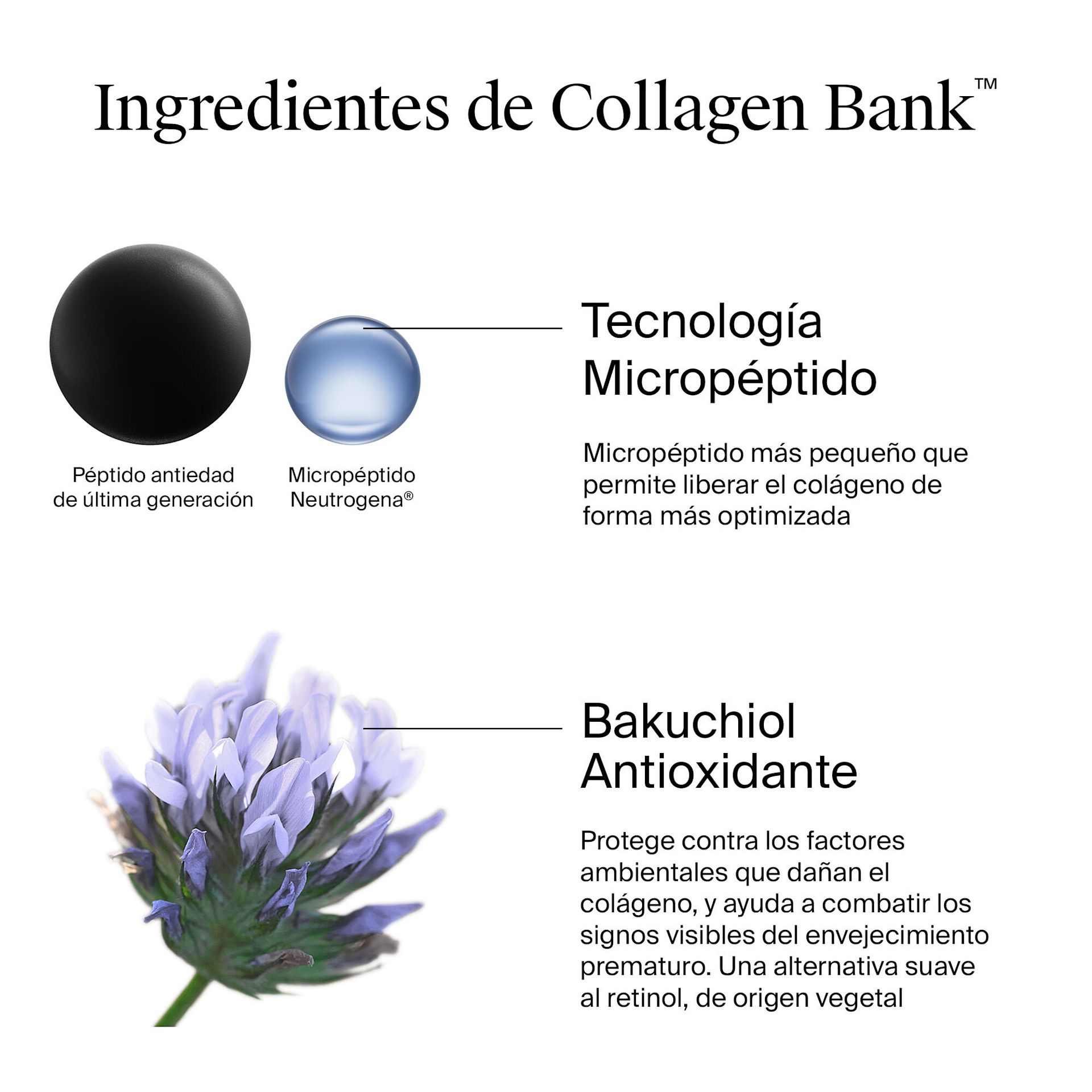 NTG EMEA SP 3574661840345 Collagen Bank moisturizer 50 ml SI04 THUMB JPG (1)