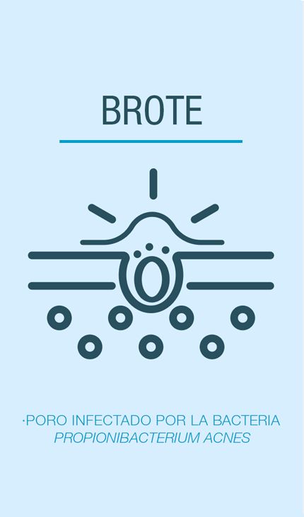 brote