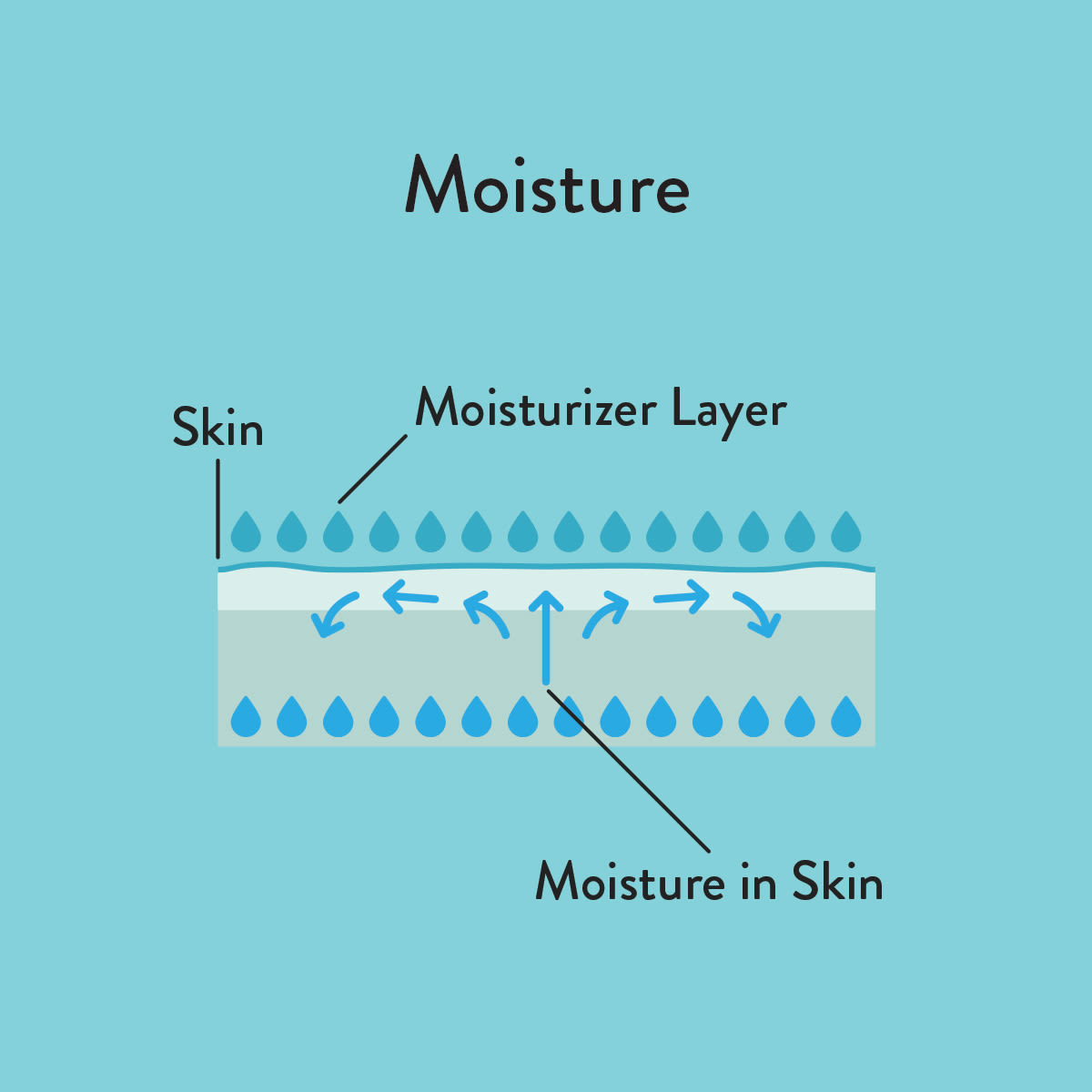 Moisture