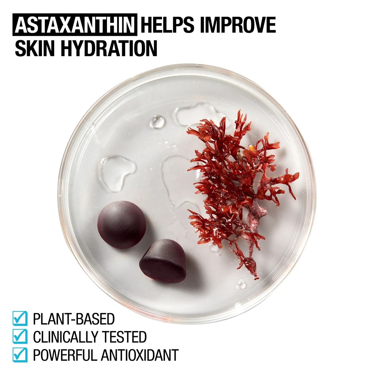 NTG_Skin Hydration Gummies_Ingredients_EDI 4.webp