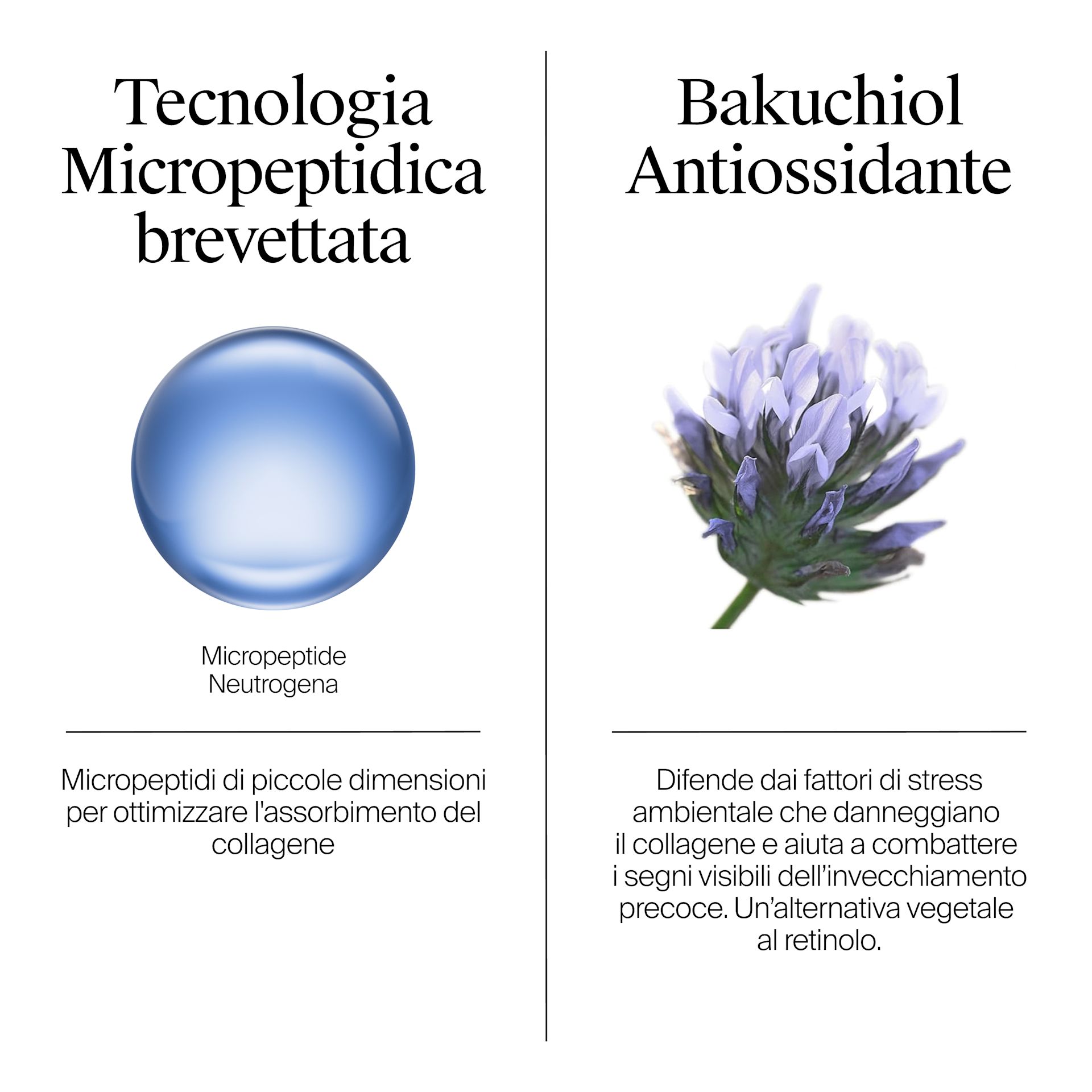 Collagene di origine naturale​