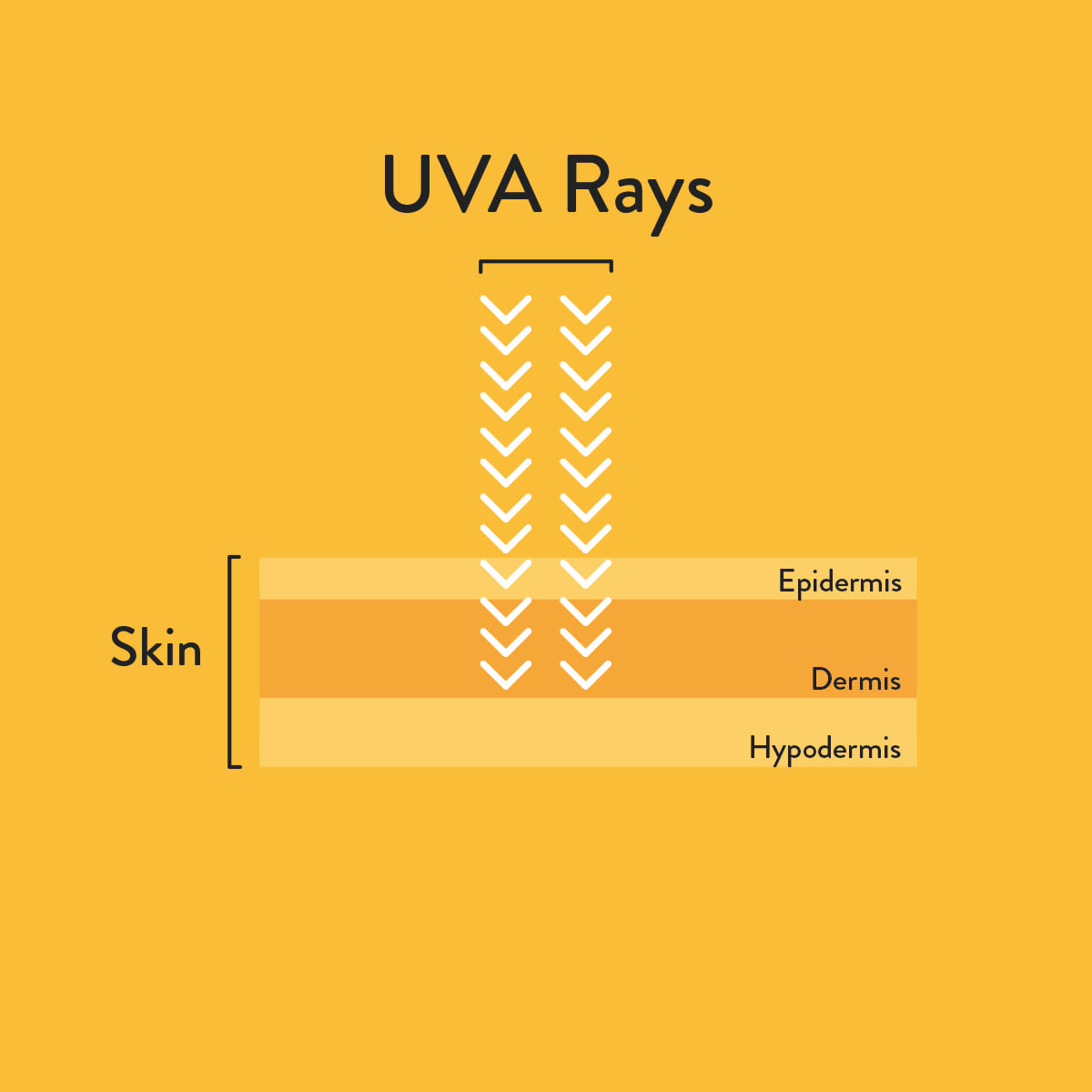 UVA