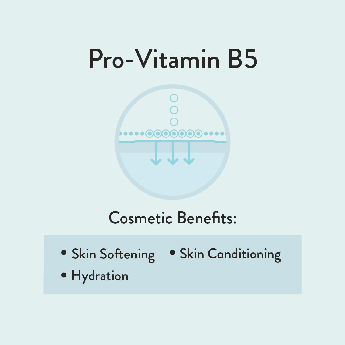 Pro-Vitamin B5
