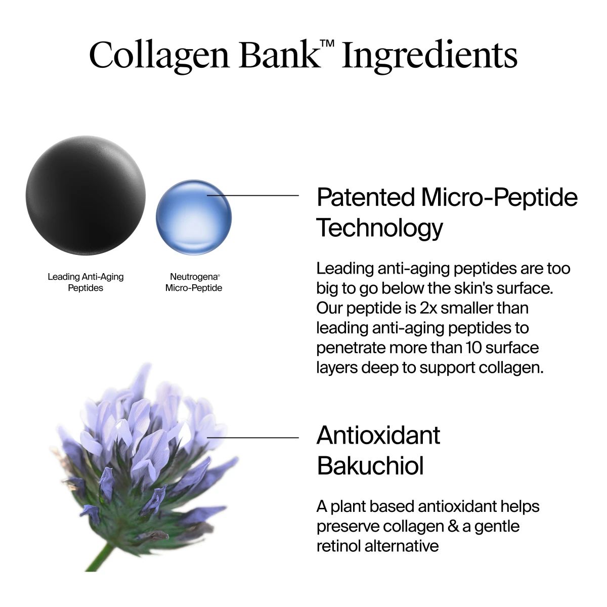 Collagen Bank ingredients: patented micro-peptide technology and antioxidant bakuchiol