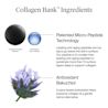 Collagen Bank ingredients: patented micro-peptide technology and antioxidant bakuchiol