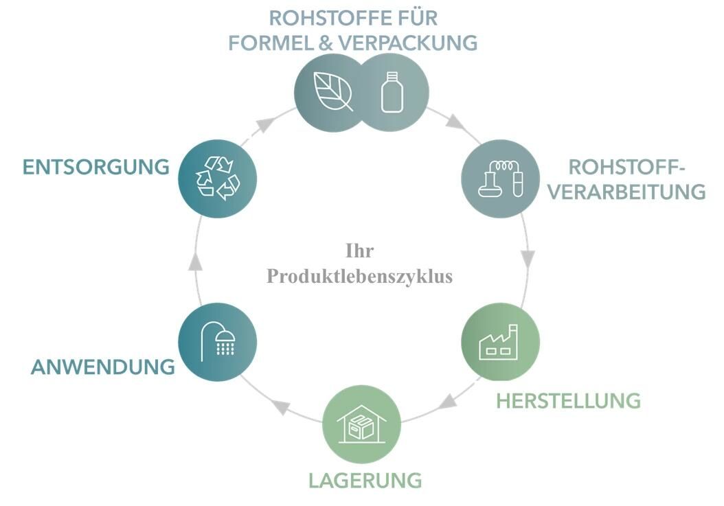  Dein Produktlebesnzyklus