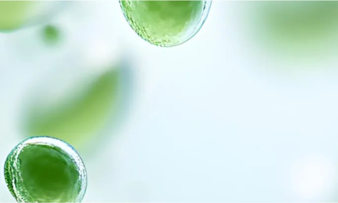 Pre and Post Biotic Complex helps support a healthy environment for the skin microbiome