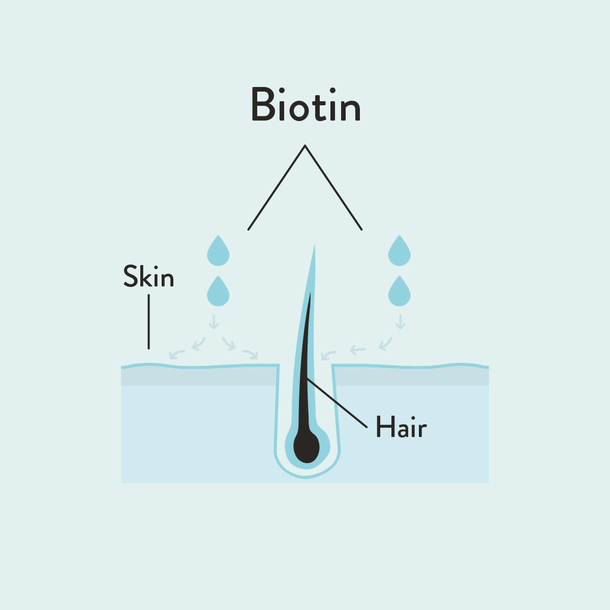 Biotin