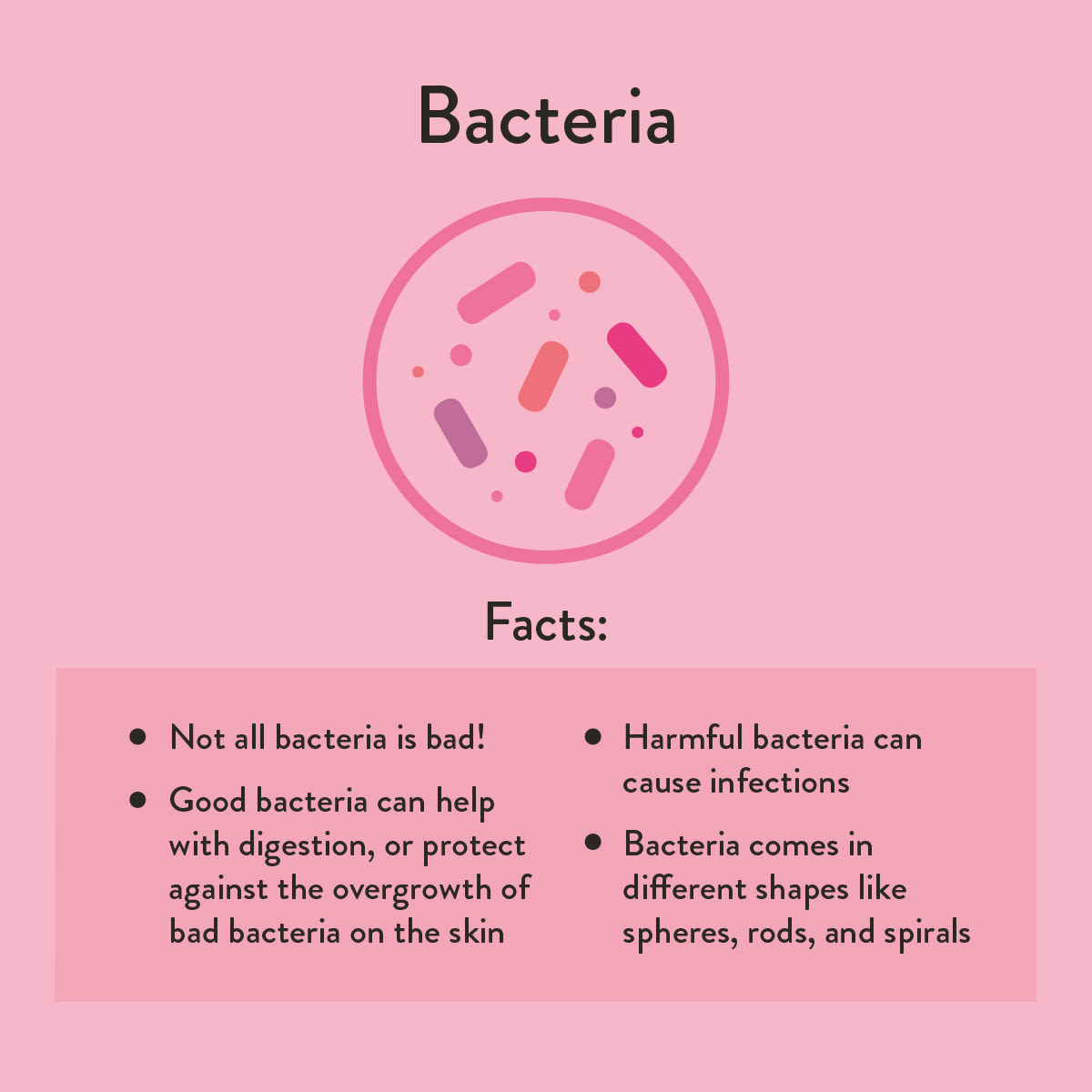 Bacteria
