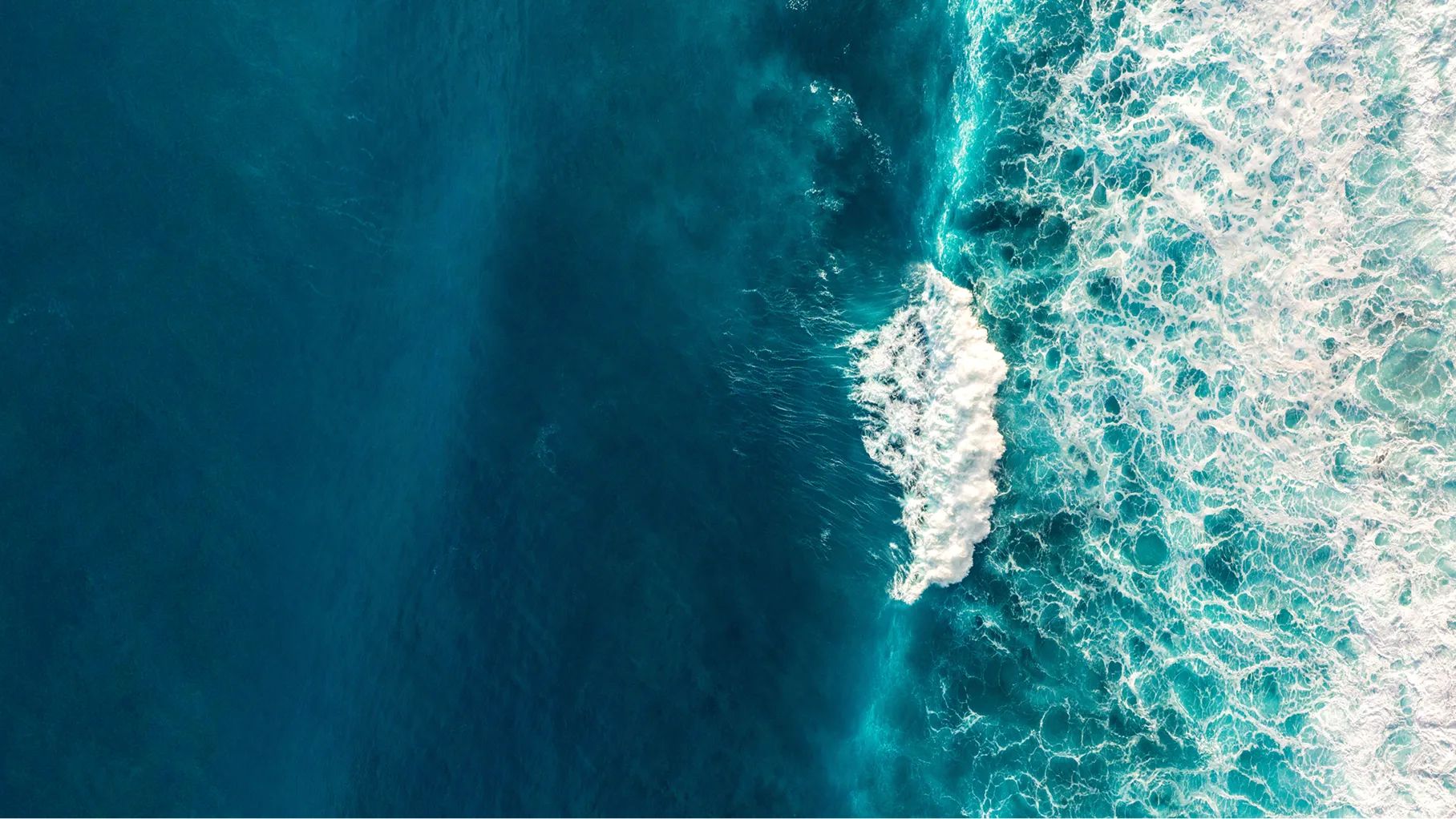 At Neutrogena, we take reef safety and sustainability seriously.