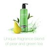 NTG_Rainbath_Pear_Green_Tea_xAOC_07_FORCL1.webp