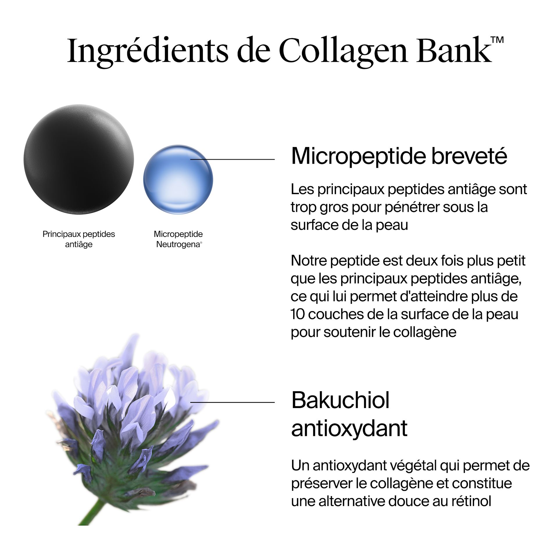 NA US NTG CollagenBank Moisturizer 2floz Ingredients ATF5 Amazon 3000x3000 NA US NTG CollagenBank Moisturizer 2floz Ingredients ATF5 Amazon 3000x3000