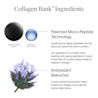 NA US NTG CollagenBank Moisturizer 2floz Ingredients ATF5 Amazon 3000x3000