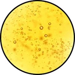 Grape-Seed Oil Texture and Consistency