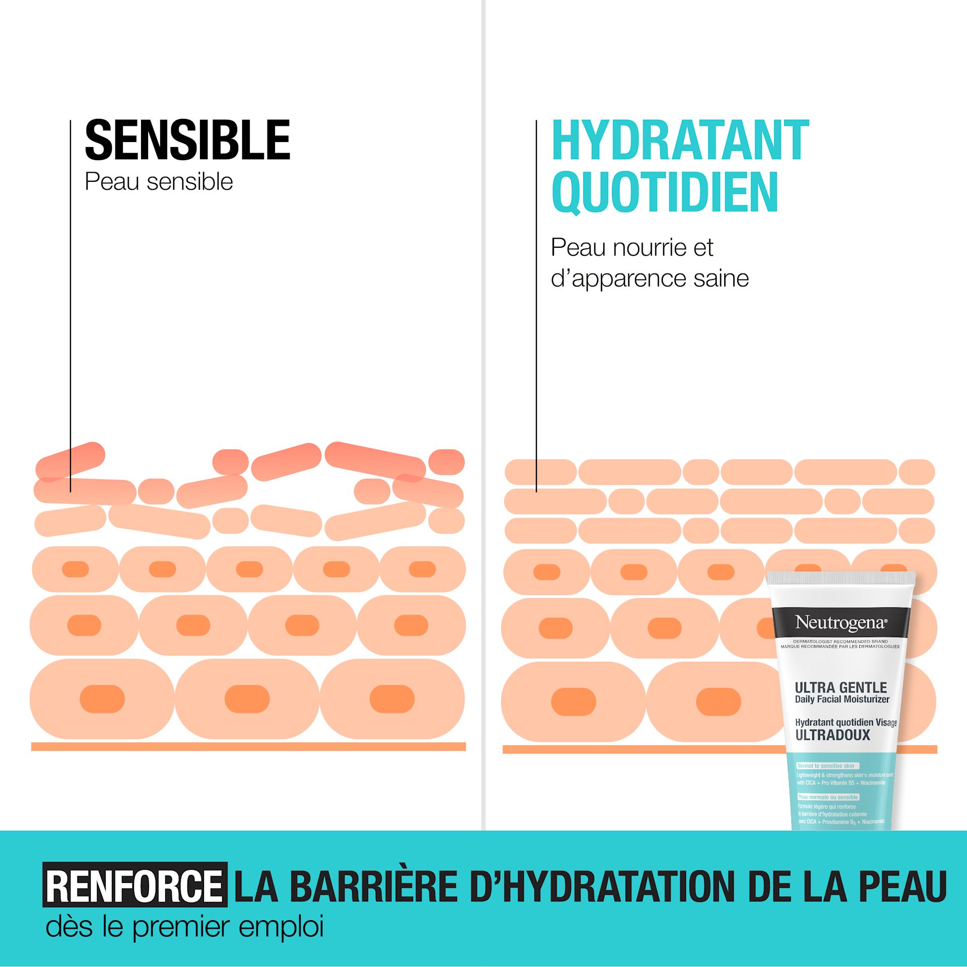 241127 411NTG UG Moisturiser Digital CA FR ML-05 Illustration de la façon dont l’hydratant ultradoux Neutrogena® renforce la barrière d’hydratation de la peau sensible dès le premier emploi