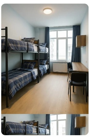 Interntaional studnets living in dorm goeriga 