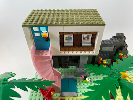 Life on the Beach