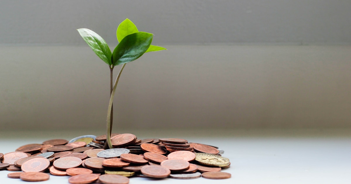 Chiropractic Seminar vs. Google Ads: The Real ROI Numbers