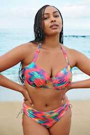 Catalog | Primadonna