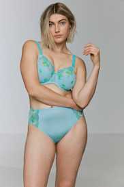 Catalog | Primadonna