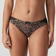 Packshot | Primadonna