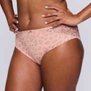 Packshot | Primadonna