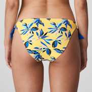 Packshot | Primadonna