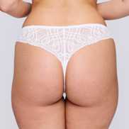 Packshot | Primadonna