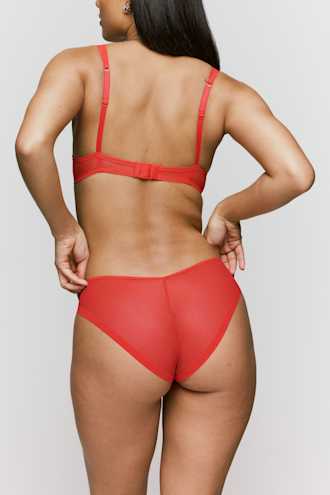 Catalog