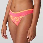 Packshot | Primadonna