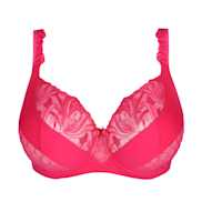 No body pictures | Primadonna