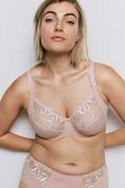 Catalog | Primadonna