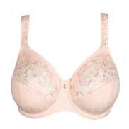 No body pictures | Primadonna